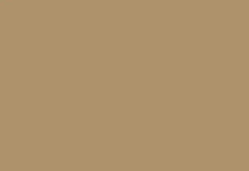 Paint_and_Paper_Library_Caddie_452_800x550