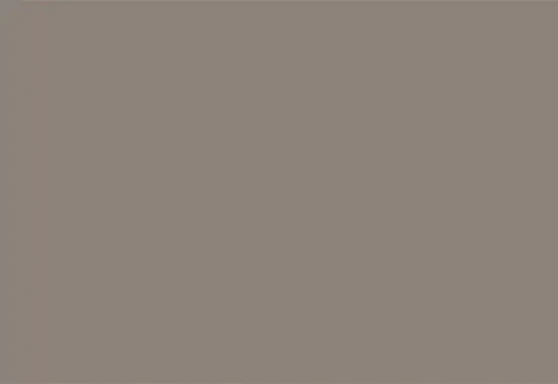 Sanderson-Wren-Feather-800x550